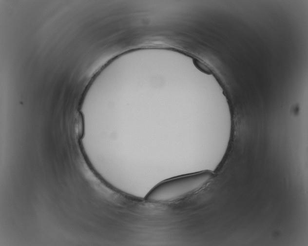X0000115721476200912241554