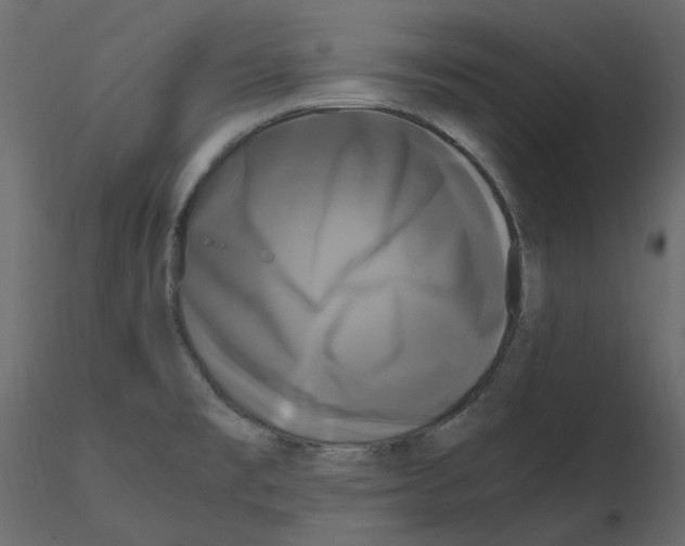 X0000115721477200912241554