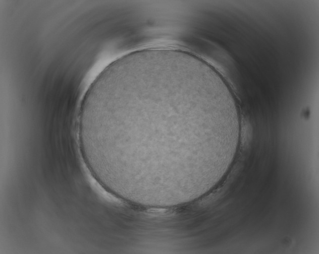 X0000115721478200912241554