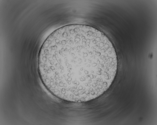 X0000115721479200912241554