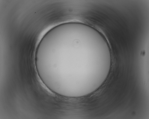 X0000115721480200912241554