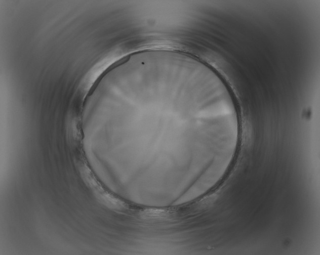 X0000115721481200912241554