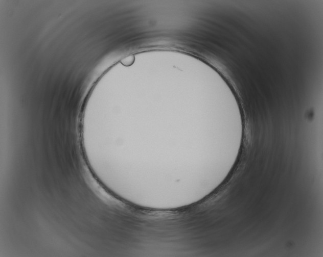 X0000115721482200912241554