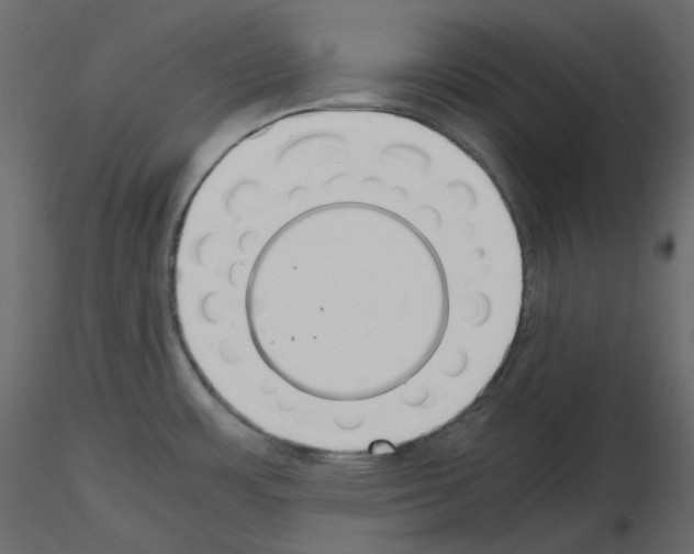 X0000115721483200912241554