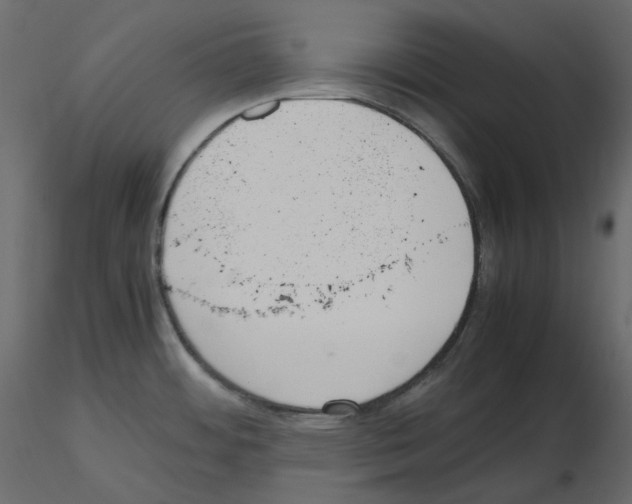 X0000115721484200912241554