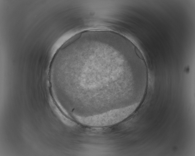 X0000115721485200912241554