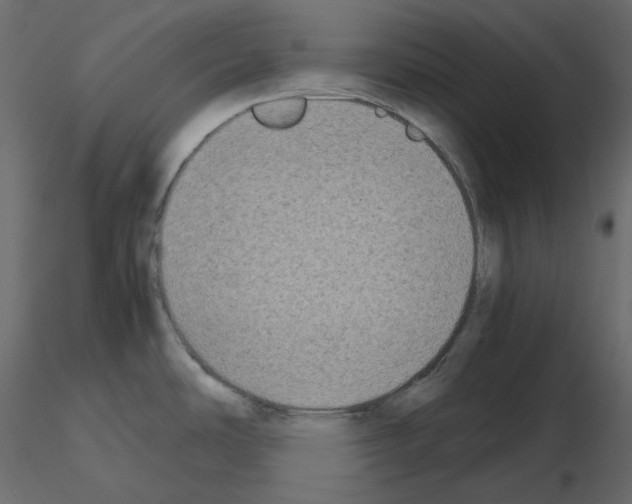 X0000115721486200912241554