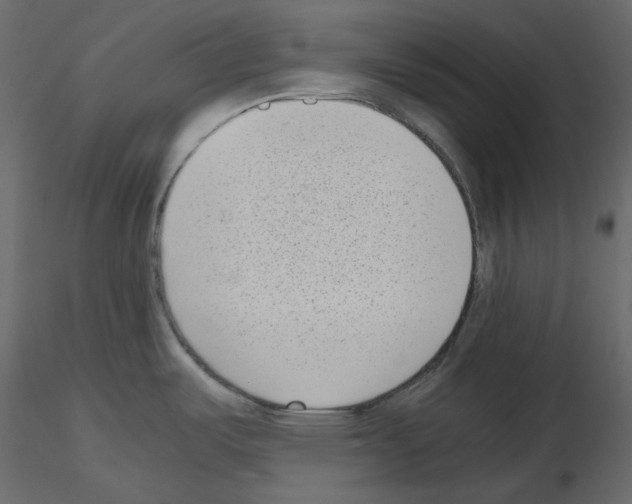 X0000115721487200912241554
