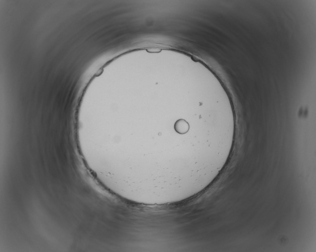 X0000115721488200912241554