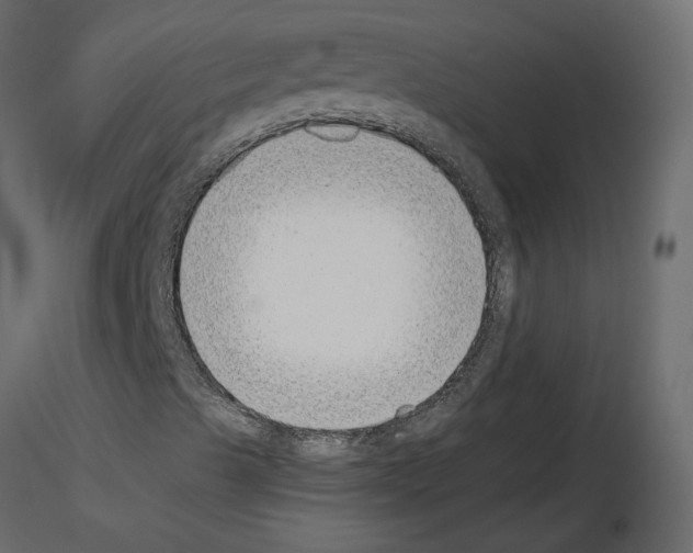 X0000115721489200912241554