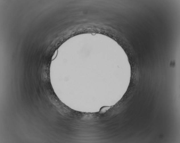 X0000115721490200912241554