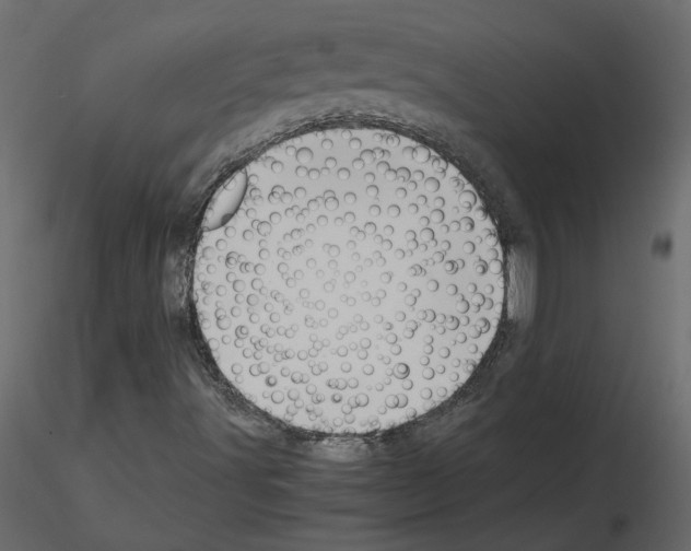 X0000115721491200912241554