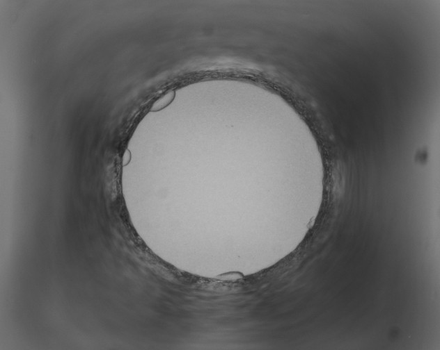 X0000115721493200912241554