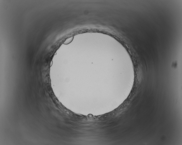 X0000115721494200912241554
