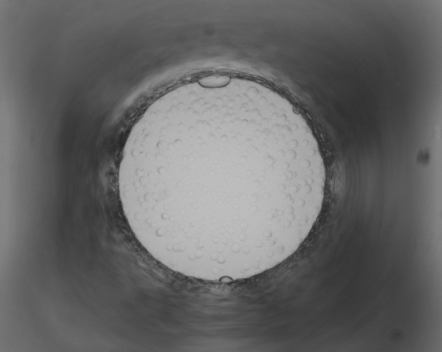 X0000115721495200912241554