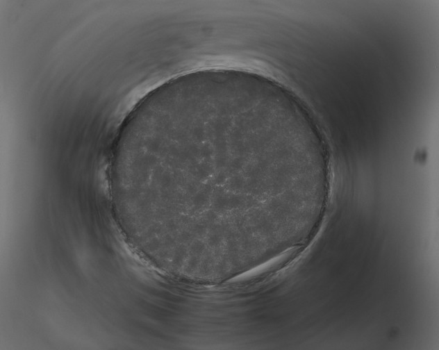 X0000115721497200912241554