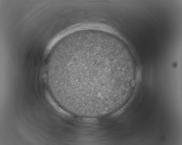 X0000115721498200912241554