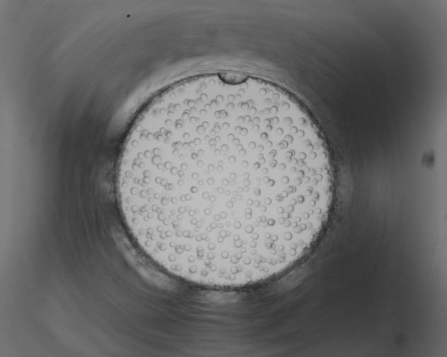 X0000115721499200912241554