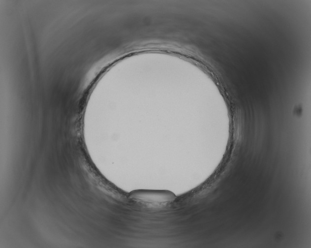 X0000115721501200912241554
