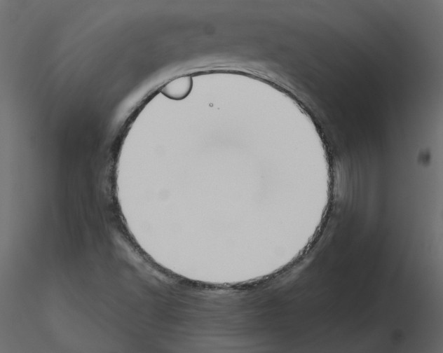 X0000115721502200912241554