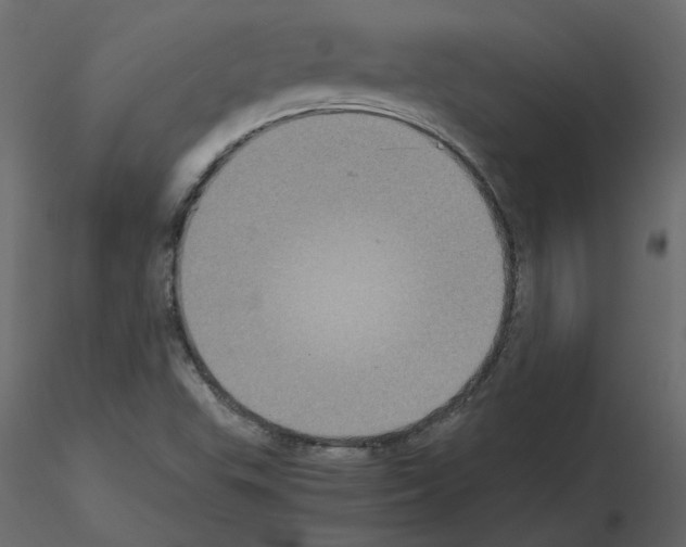 X0000115721503200912241554