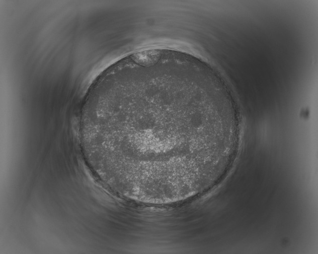 X0000115721505200912241554