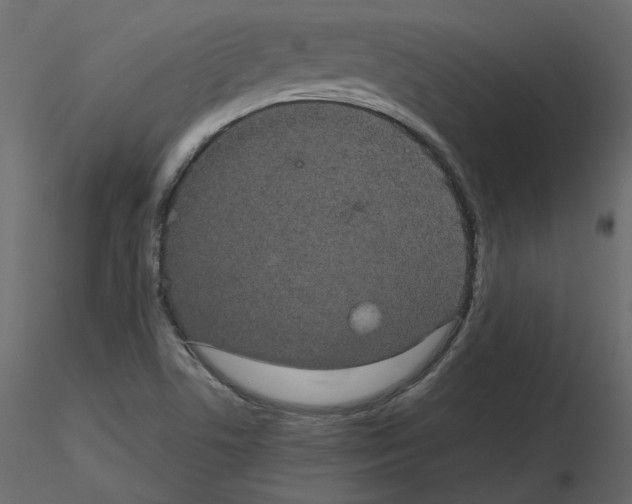 X0000115721506200912241554
