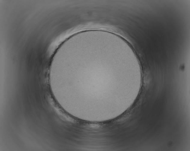 X0000115721507200912241554