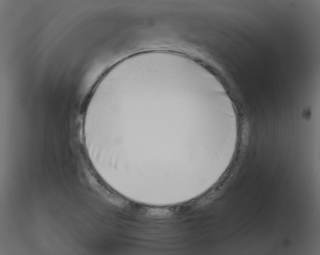 X0000115721509200912241554