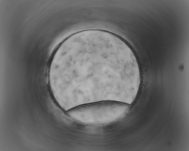 X0000115721510200912241554