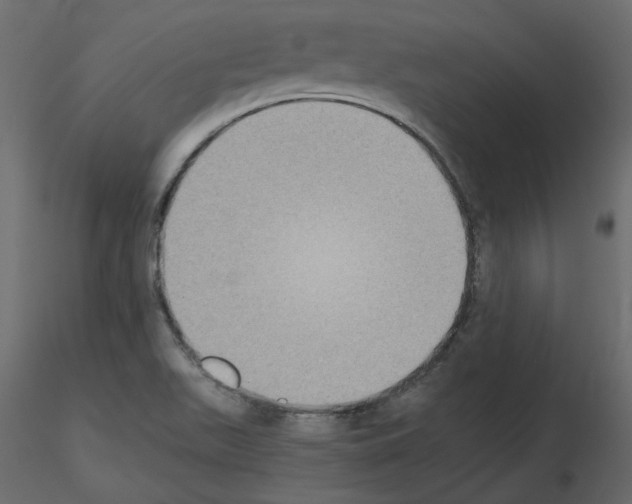 X0000115721511200912241554