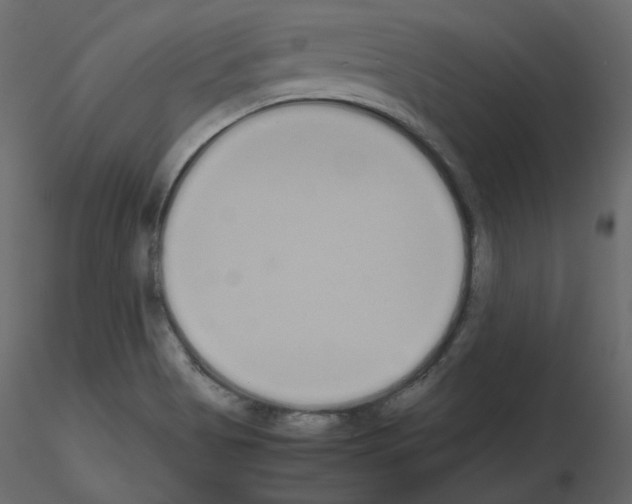 X0000115721513200912241554