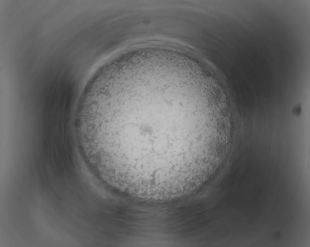 X0000115721514200912241554