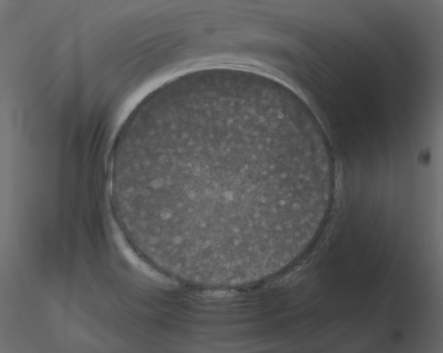 X0000115721515200912241554