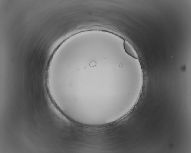 X0000115721518200912241554