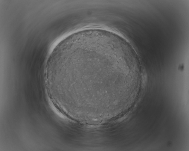 X0000115721519200912241554