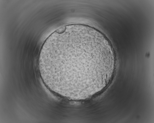 X0000115721521200912241554