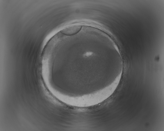 X0000115721522200912241554