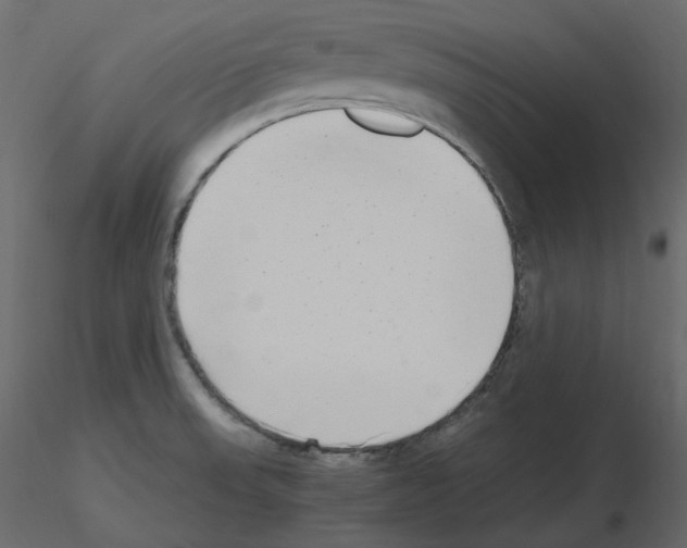 X0000115721523200912241554