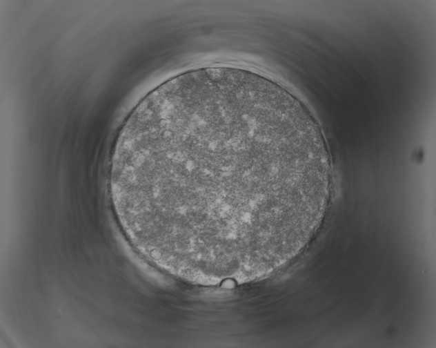 X0000115721525200912241554