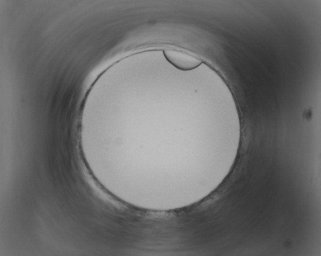 X0000115721526200912241554