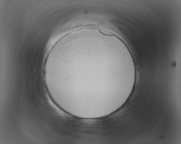 X0000115721527200912241554