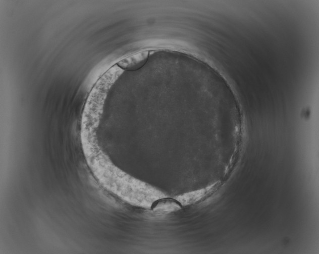 X0000115721529200912241554