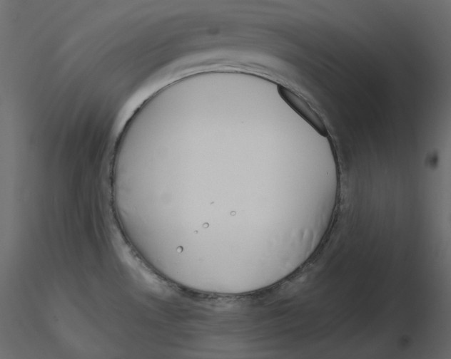 X0000115721530200912241554