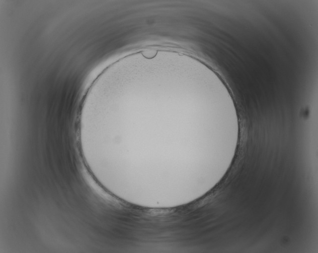 X0000115721531200912241554