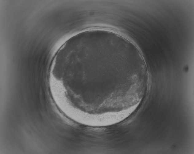 X0000115721533200912241554