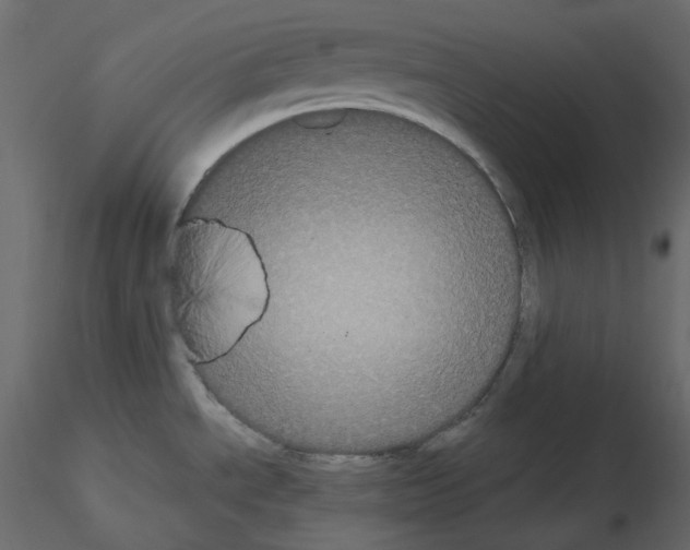 X0000115721534200912241554