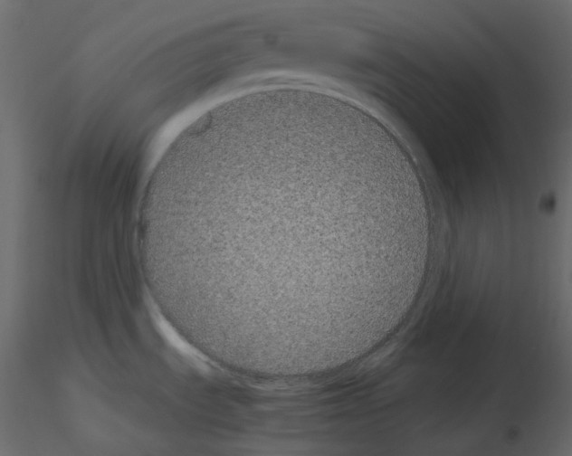X0000115721535200912241554