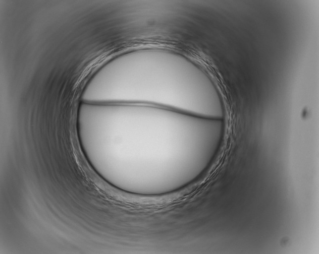 X0000115730001200911121136