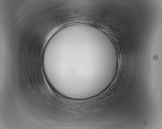 X0000115730003200911121136